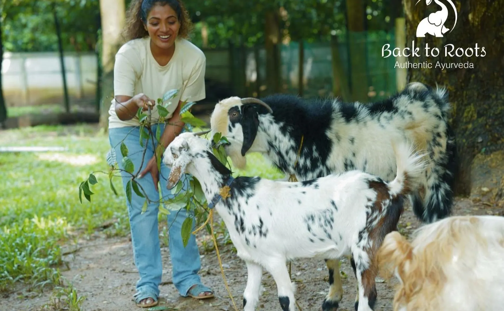 Back To Roots Ayurveda Retreat Hotel Kizhake Chālakudi