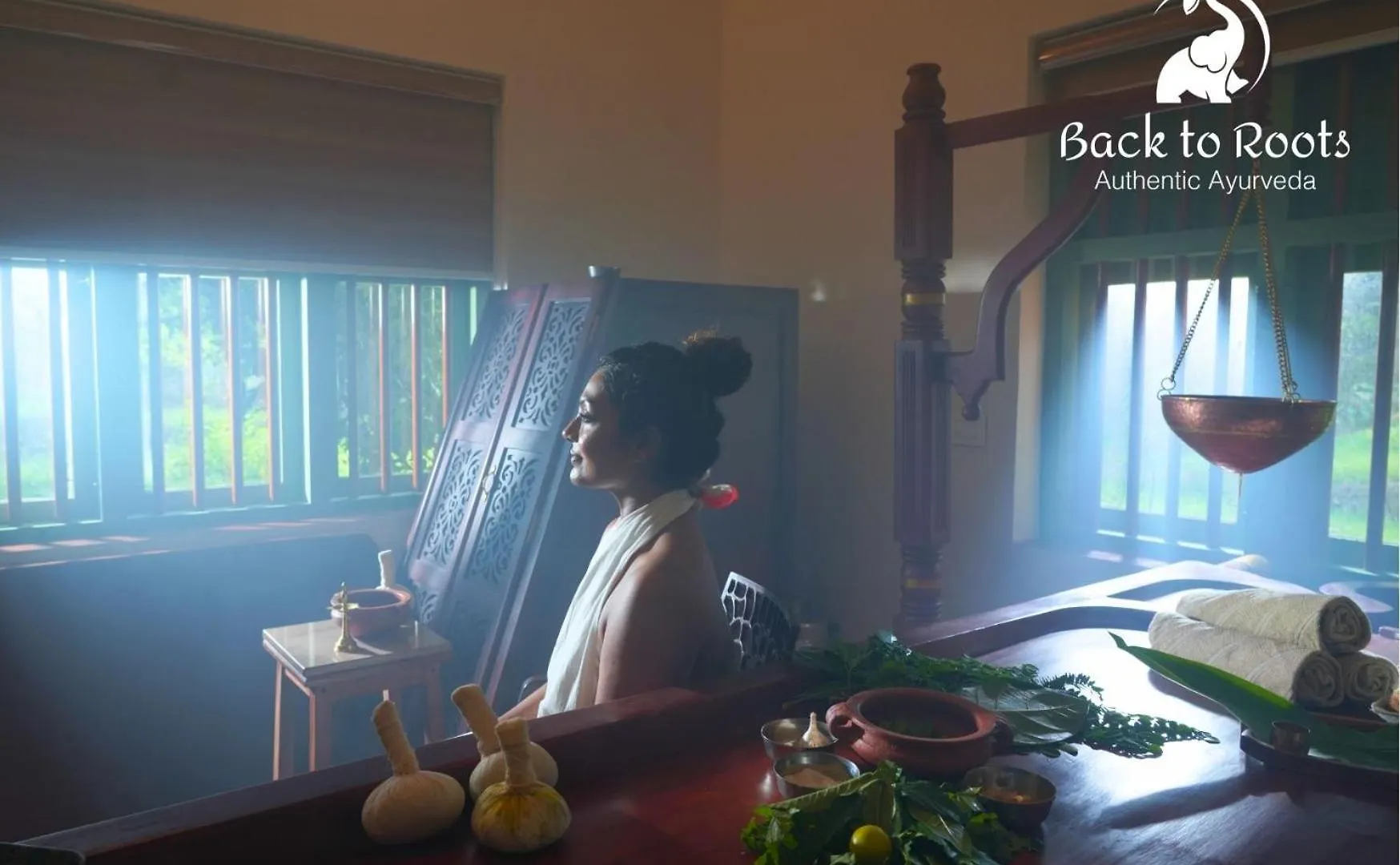 Back To Roots Ayurveda Retreat Hotel Kizhake Chālakudi India
