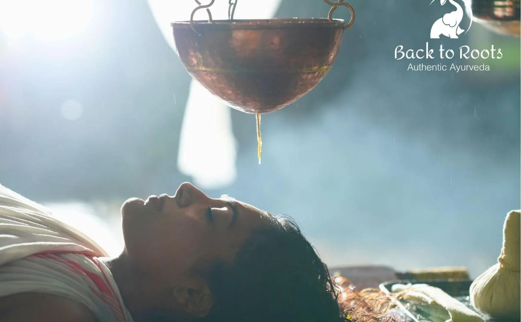 Resort Back To Roots Ayurveda Retreat Hotel Kizhake Chālakudi