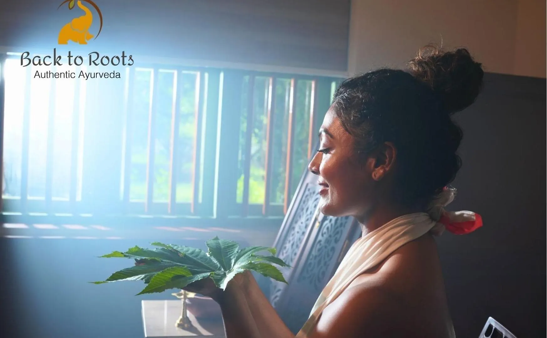 Back To Roots Ayurveda Retreat Hotel Kizhake Chālakudi 0*,
